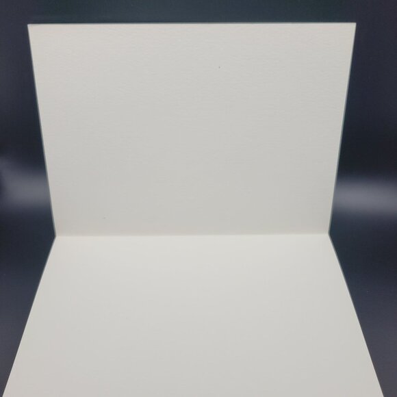 Vintage Mallard Duck Greeting Card Pair on Lake with Info Back Blank Inside - Picture 2 of 5